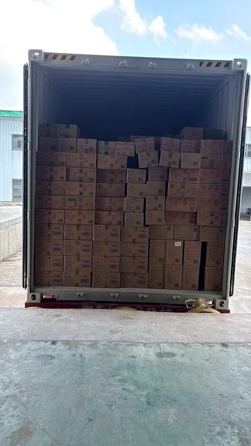 Loaded export container