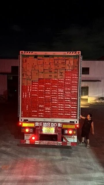 Palletized inventory in China warehouse